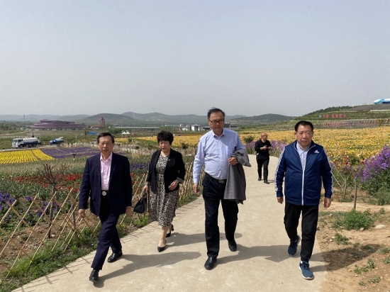 云圖片
