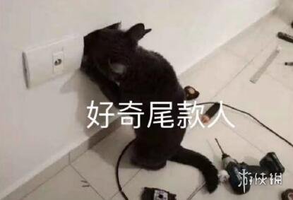游俠網(wǎng)7