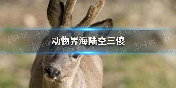 游俠網(wǎng)1