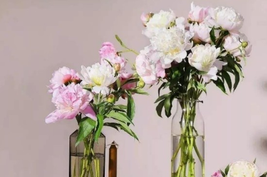 花瓶里面加什么延長鮮花壽命
