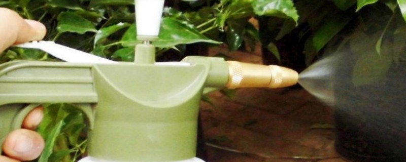 澆花的水要靜置幾天嗎