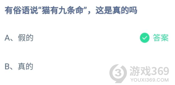 有俗語說貓有九條命這是真的嗎