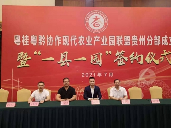 云圖片