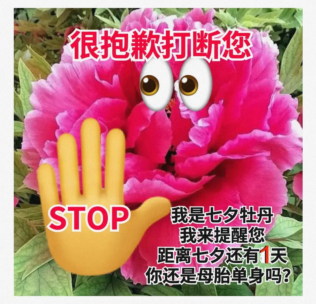 七夕牡丹母單是什么梗?2021七夕牡丹表情包大全 七夕牡丹母單是什么梗?2021七夕牡丹表情包大全