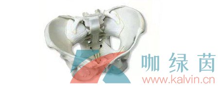 《Crimaster犯罪大師》8月17日突發(fā)案件現(xiàn)場數(shù)據(jù)推斷篇答案