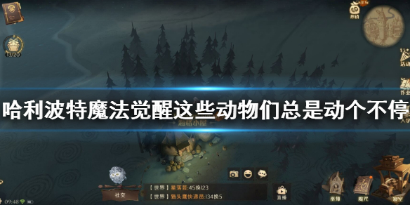 游俠網(wǎng)1