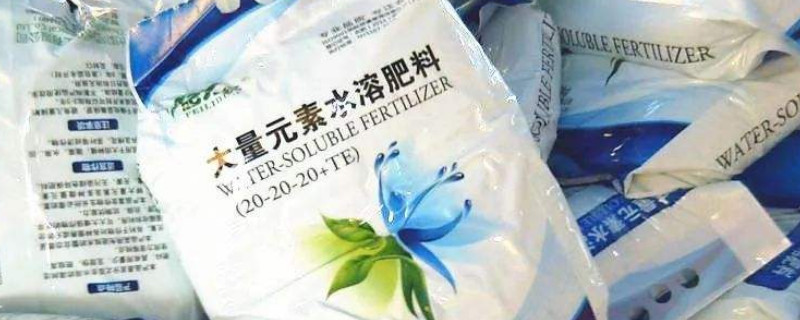 金鉆怎么施肥,施什么肥?