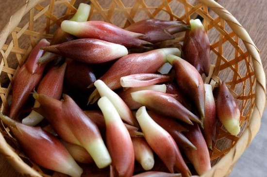 陽(yáng)荷是什么菜