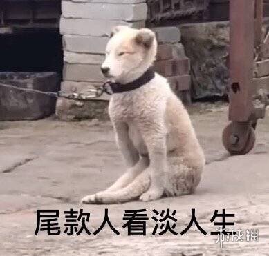 游俠網(wǎng)8