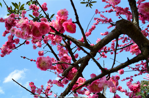 1635926396672027.jpg data-cke-saved-src=http___img.pconline.com.cn_images_upload_upc_tx_photoblog_1803_07_c6_77257271_1520421539944_mthumb.jpg&refer=http___img.pconline.com_副本.jpg src=http___img.pconline.com.cn_images_upload_upc_tx_photoblog_1803_07_c6_77257271_1520421539944_mthumb.jpg&refer=http___img.pconline.com_副本.jpg
