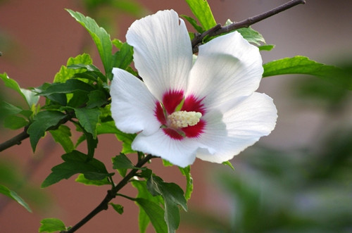 1636183104680719.jpg data-cke-saved-src=http___img.pconline.com.cn_images_upload_upc_tx_photoblog_1207_29_c2_12599871_12599871_1343554324616_mthumb.jpg&refer=http___img.pconline.com_副本.jpg src=http___img.pconline.com.cn_images_upload_upc_tx_photoblog_1207_29_c2_12599871_12599871_1343554324616_mthumb.jpg&refer=http___img.pconline.com_副本.jpg