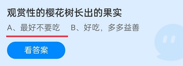 觀賞性的櫻花樹長出的果實
