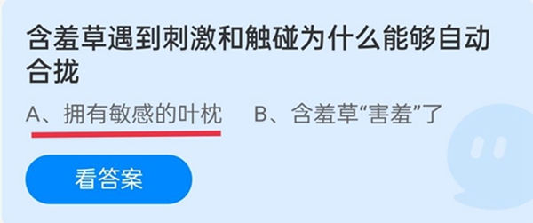 知羞草遇到刺激和觸碰為什么能夠自動合攏