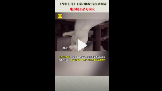 當(dāng)家主母出品方回應(yīng)白貓被注射不明液體 當(dāng)家主母白貓身亡鏡頭已刪除