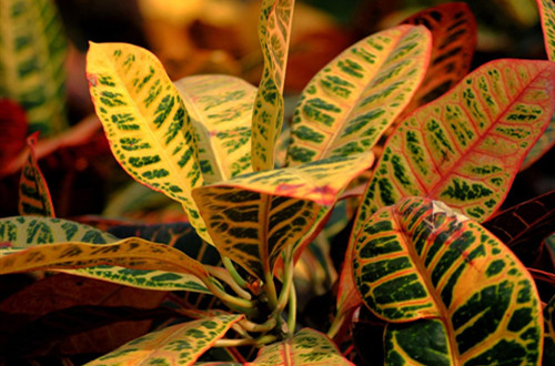 1637754350240117.jpg data-cke-saved-src=http___img1001.pocoimg.cn_image_poco_works_19_2011_1019_17_52460671201110191726382129394870462_001_52460671.jpg&refer=http___img1001.pocoimg_副本.jpg src=http___img1001.pocoimg.cn_image_poco_works_19_2011_1019_17_52460671201110191726382129394870462_001_52460671.jpg&refer=http___img1001.pocoimg_副本.jpg