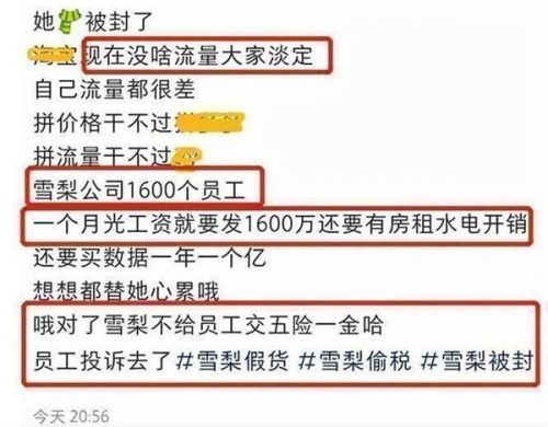網(wǎng)紅雪梨林珊珊社交賬號被封怎么回事?雪梨林珊珊微博賬號被封原因曝光