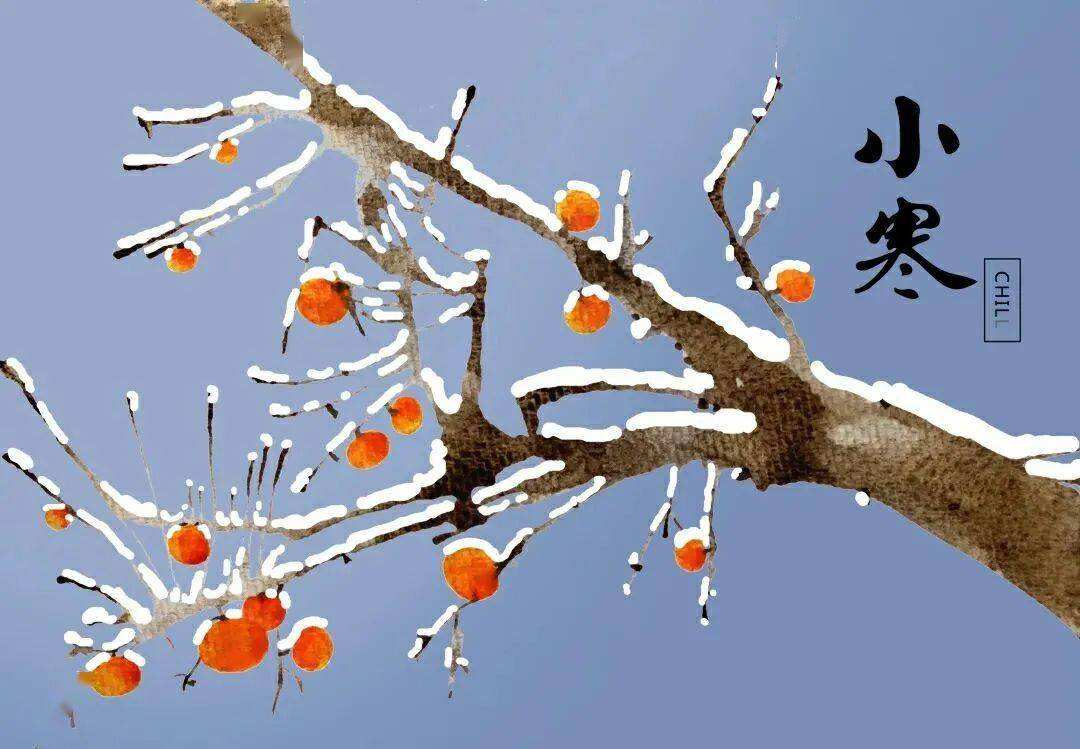 Сǎ̖c׷С(ji)cL(fng)