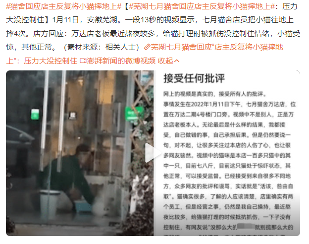 貓舍回應(yīng)店主反復(fù)將小貓摔地上:壓力太大