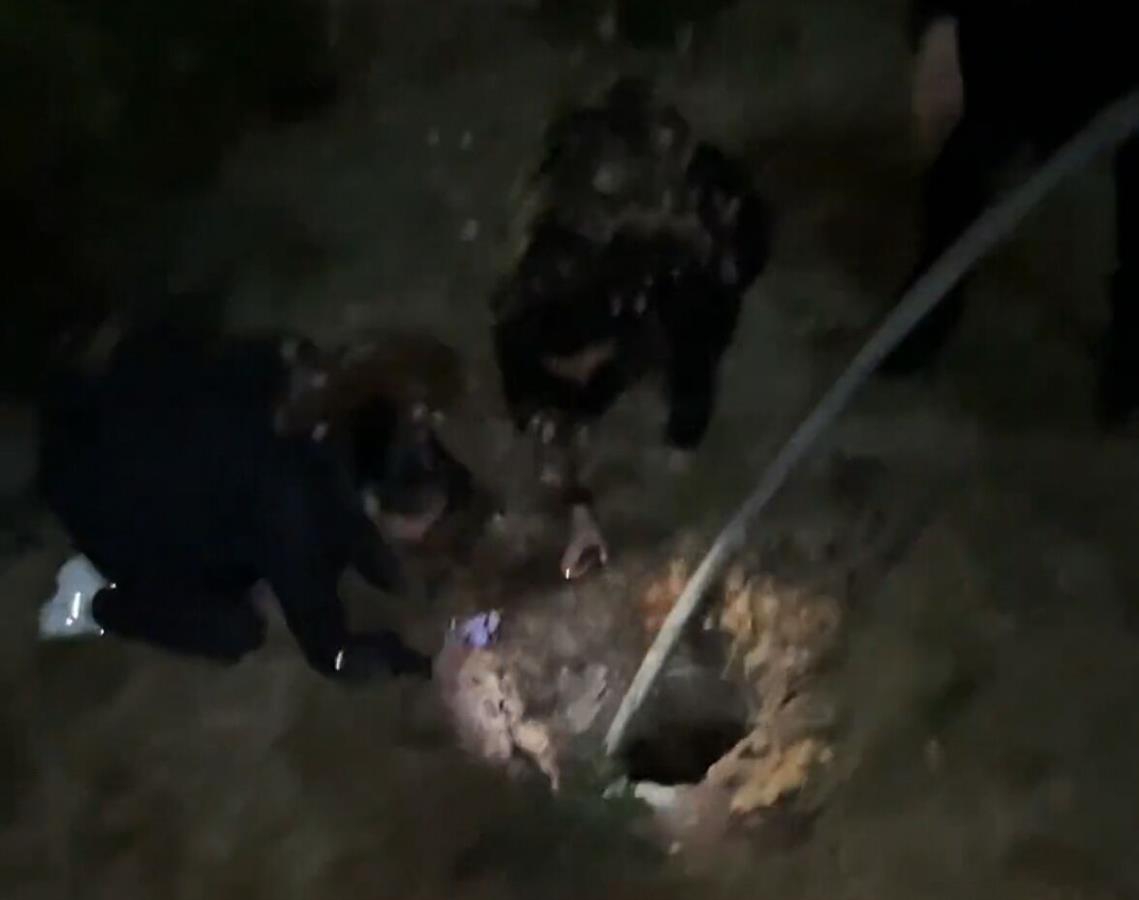 爺孫掉入小區(qū)外圍窨井不幸遇難 居民稱窨井安全隱患由來已久 爺孫掉入小區(qū)外圍窨井不幸遇難 居民稱窨井安全隱患由來已久