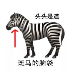 游俠網(wǎng)60