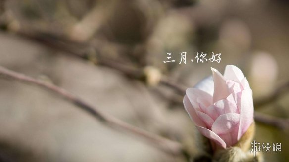 游俠網(wǎng)2
