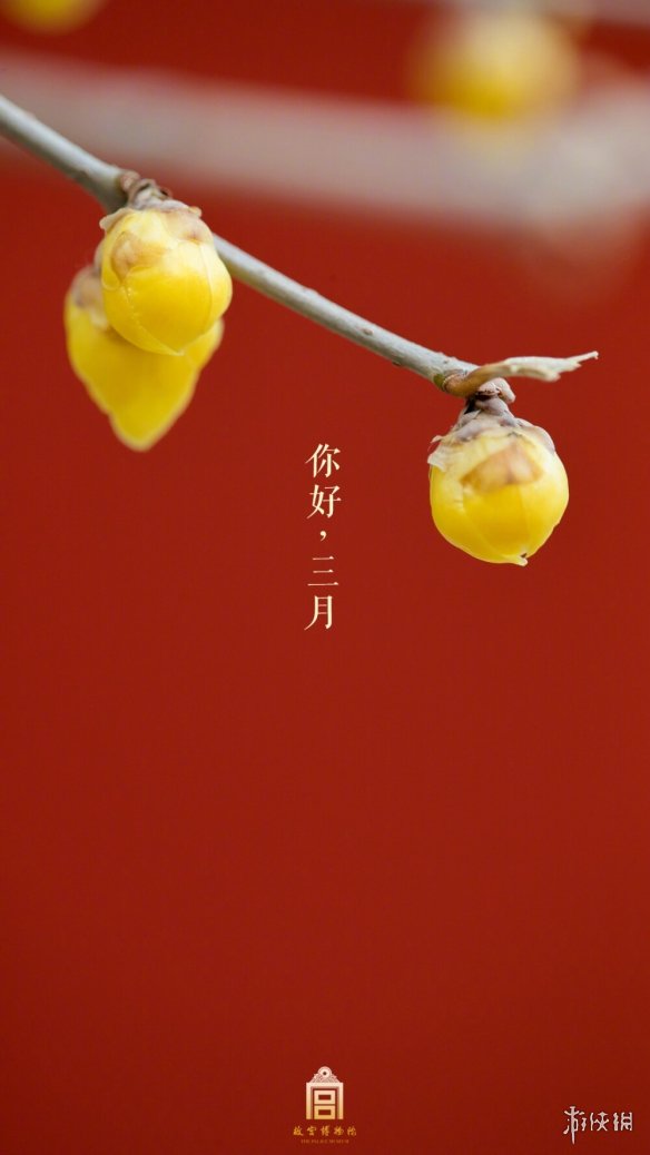 游俠網(wǎng)3