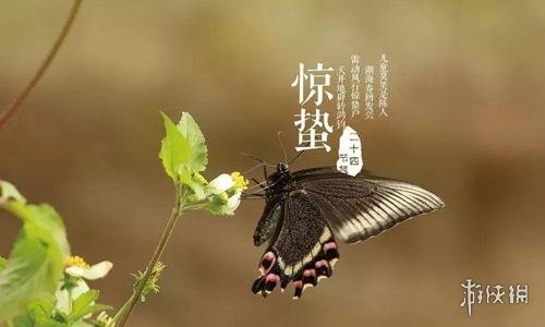 游俠網(wǎng)2