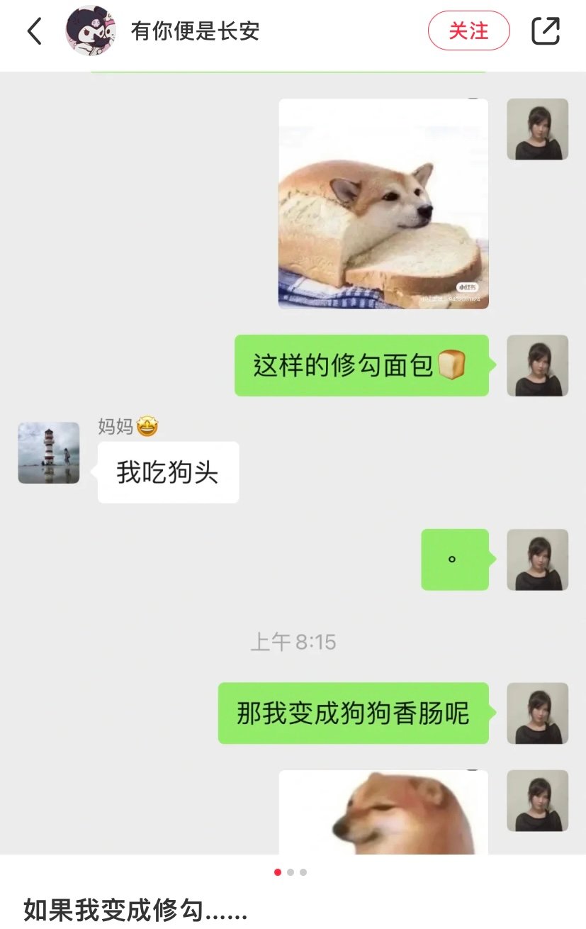 面包狗是什么梗?面包狗表情包 面包狗含義出處介紹 面包狗是什么梗?面包狗表情包 面包狗含義出處介紹
