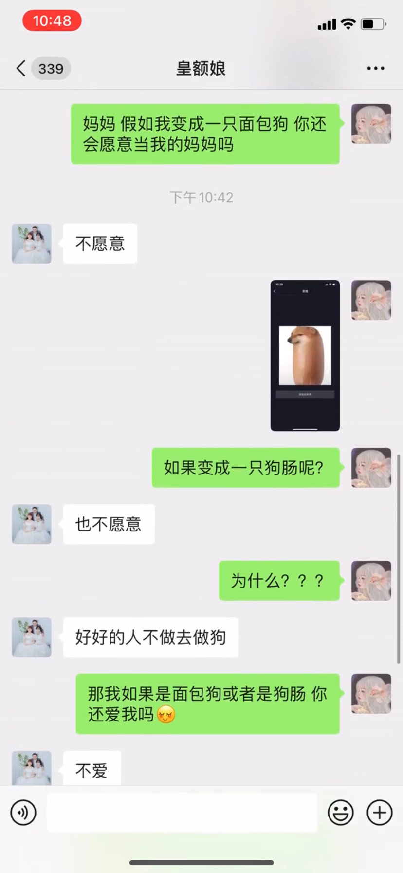 面包狗是什么梗?面包狗表情包 面包狗含義出處介紹 面包狗是什么梗?面包狗表情包 面包狗含義出處介紹