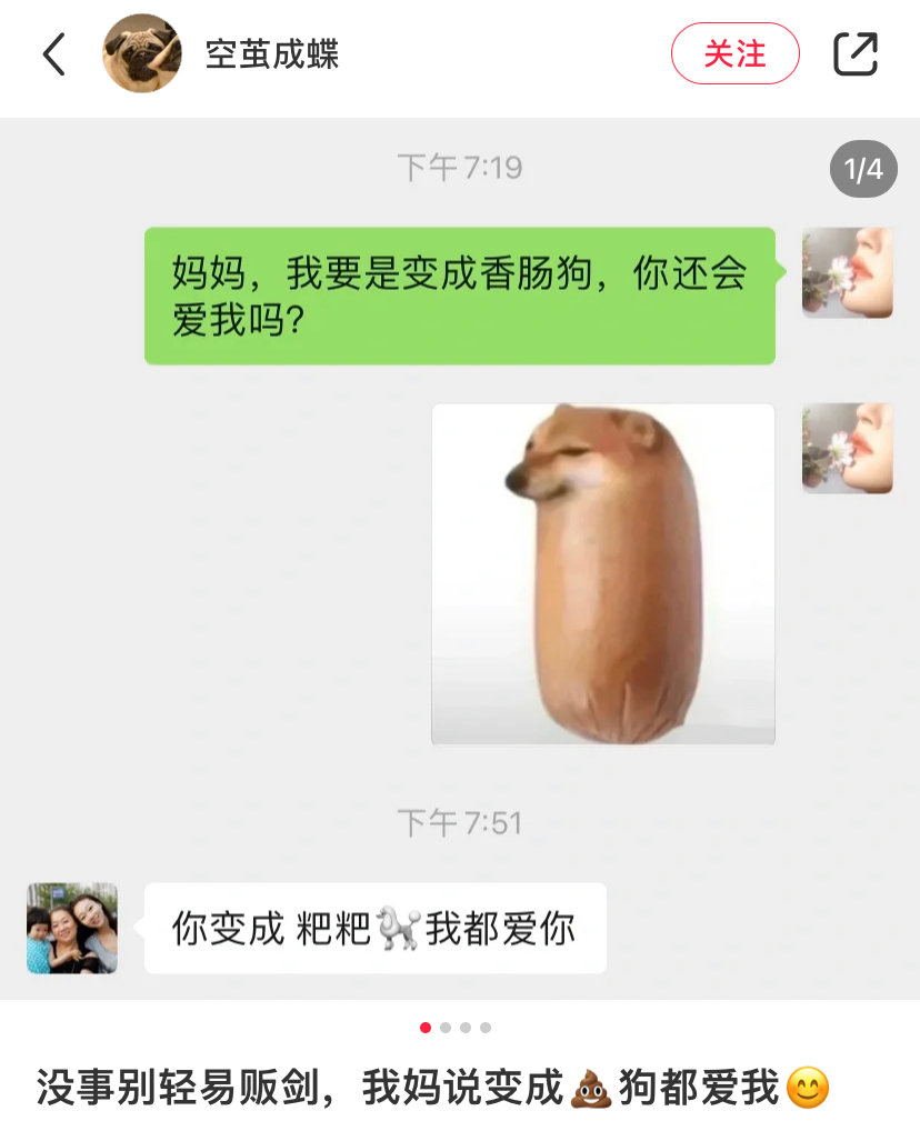 面包狗是什么梗?面包狗表情包 面包狗含義出處介紹 面包狗是什么梗?面包狗表情包 面包狗含義出處介紹