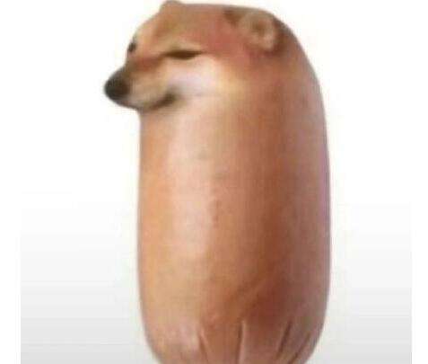 面包狗香腸狗是什么梗_面包狗香腸狗含義出處
