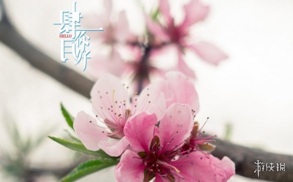 游俠網(wǎng)4