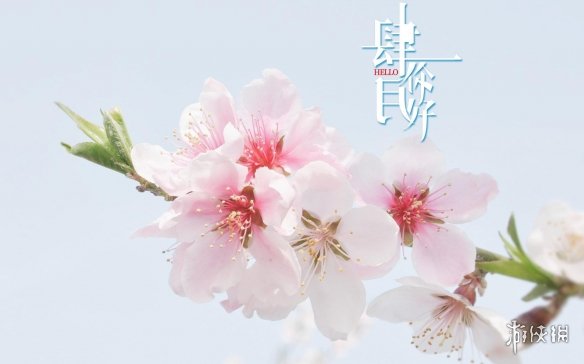 游俠網(wǎng)3