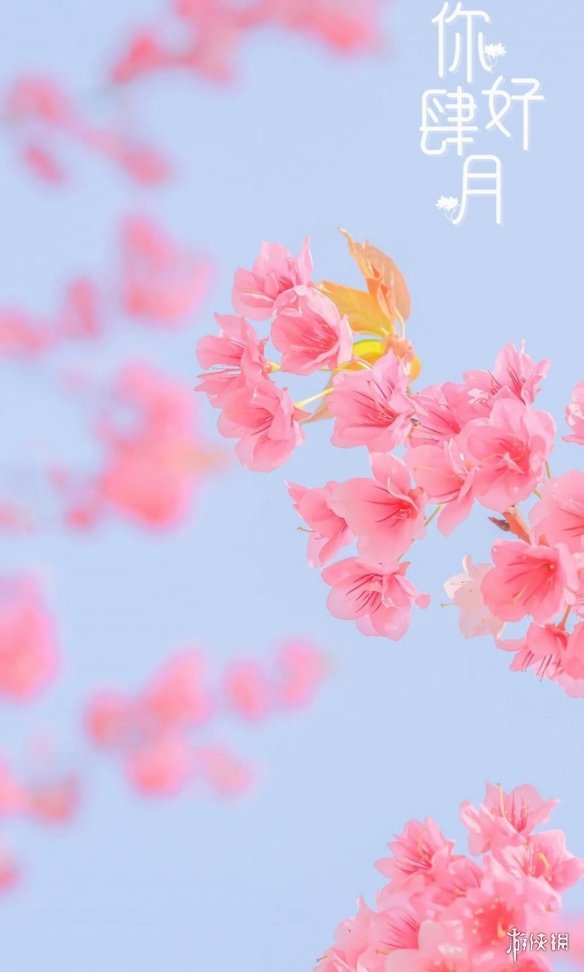 游俠網(wǎng)8
