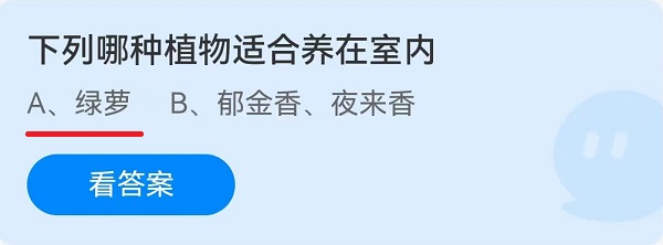 下列哪種植物適合養(yǎng)在室內?