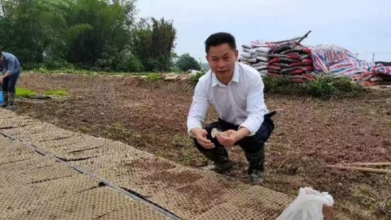 云圖片