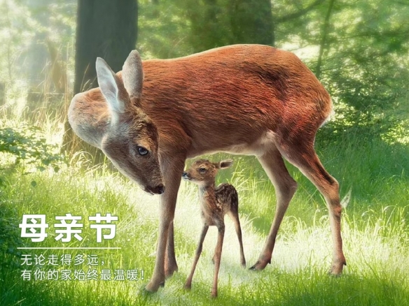 游俠網(wǎng)3