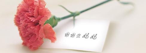 游俠網(wǎng)2