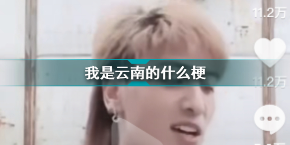 我是云南的什么梗 我是云南的是什么意思