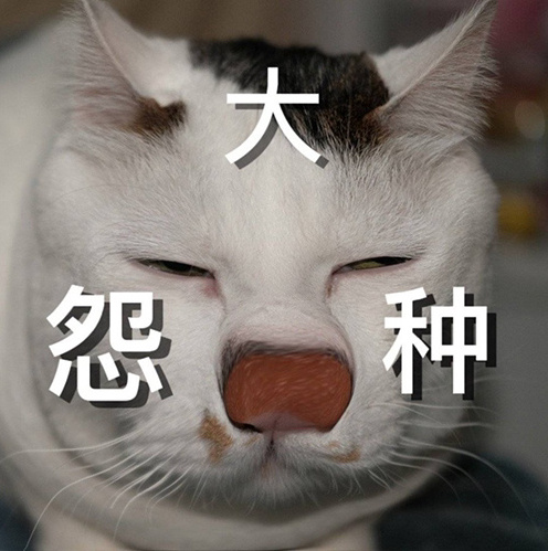 游俠網2