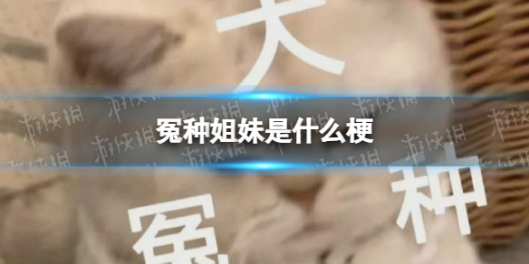 游俠網1