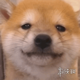 游俠網(wǎng)3