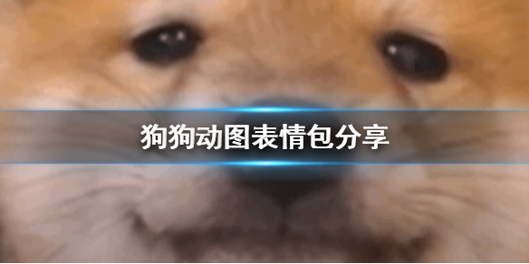 游俠網(wǎng)1