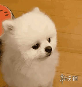 游俠網(wǎng)8