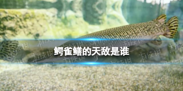 游俠網(wǎng)1