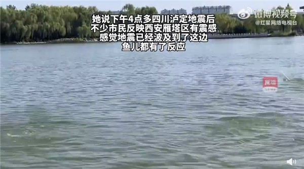 昨日西安一湖內(nèi)驚現(xiàn)“鯉魚躍龍門”引圍觀:當(dāng)天四川地震 兩者有關(guān)?專家釋疑