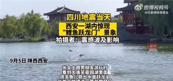 昨日西安一湖內(nèi)驚現(xiàn)“鯉魚躍龍門”引圍觀:當(dāng)天四川地震 兩者有關(guān)?專家釋疑