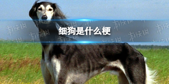 游俠網(wǎng)1