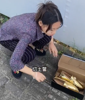 游俠網(wǎng)2