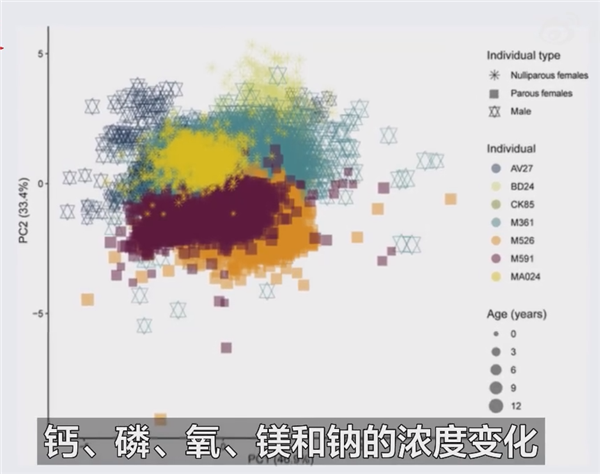 新研究稱生育永久改變女性骨骼:前所未有的方式!